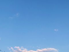 -千年银杏谷文化旅游区