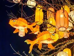 -龙湖星悦荟(颐和店)