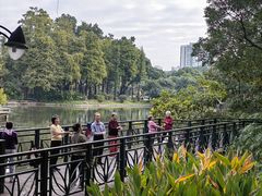 -晓港公园