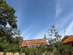 -ZOO COFFEE动物园咖啡(红山森林动物园店)