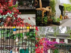 -百花洲