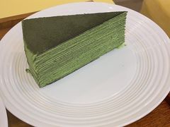 -王守财小山園