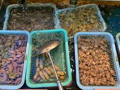 -鑫悦楼煎蟹·16年海鲜大排档