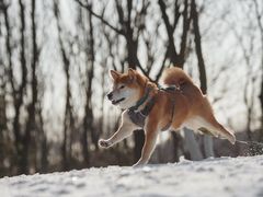 -钟山体育运动公园