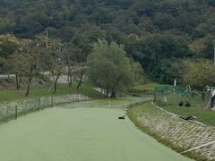 -石塘人家