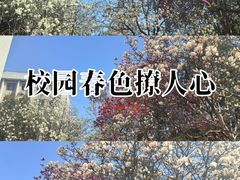 -陕西师范大学(雁塔校区)