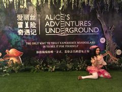 -爱丽丝冒险奇遇记