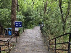 -上海佘山国家森林公园西佘山园