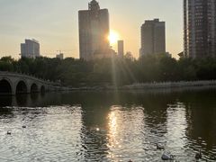 -迎泽公园