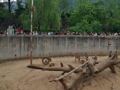 -西安秦岭野生动物园