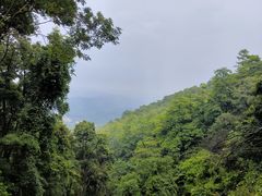 -广州市帽峰山景区