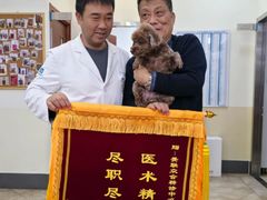 -美联众合动物医院·24h转诊中心