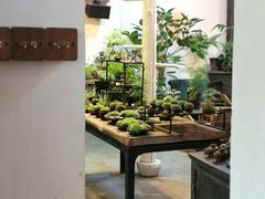 -植觉