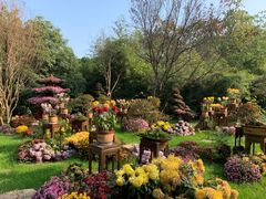 -杭州植物园