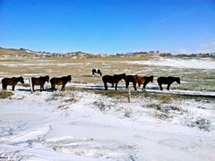 -塞罕坝国家级自然保护区