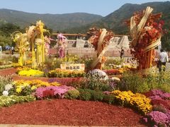 -北京十三陵国家森林公园蟒山景区