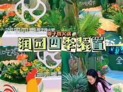 -润园四季椰子鸡火锅(南山海岸城店)