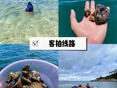 -巽寮湾
