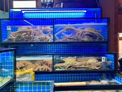 松叶蟹-吉友粥底火锅(方斜路店)