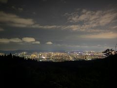 -长虫山生态公园风景林
