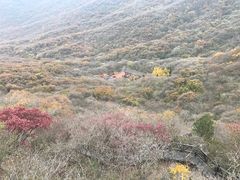 -皇藏峪国家森林公园