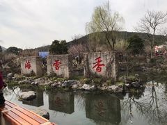 -香雪海