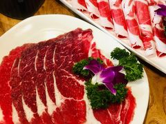 内蒙草原羔羊-哇哇叫