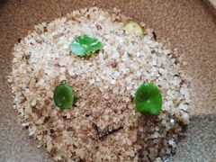 -天水蔬食料理(树德之光店)