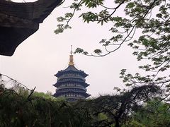 -上海鲜花港