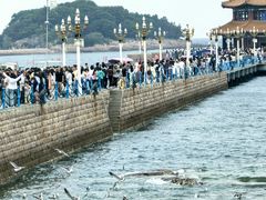 -青岛海滨风景区