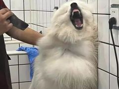 -荔康动物医院(康王北路店)