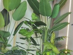 -10号线创意公园·普娴茶空间