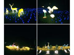 -杭州野生动物世界