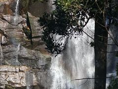 -海南热带雨林国家公园吊罗山景区