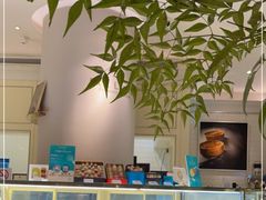 -PAUL LAFAYET 法式甜品(港汇广场店)