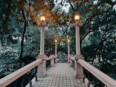 -叶家花园