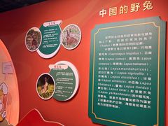 -浙江自然博物院(杭州馆)