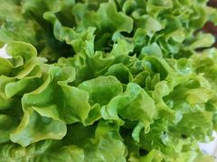 -牛犇烤肉(物资学院路店)
