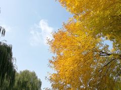 -玲珑塔公园