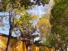 -灵岩山风景区