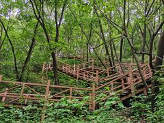 -大岭沟猕猴桃谷风景区