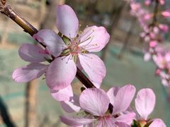 -新世界百货(顺义店)