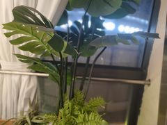 -马家斑.鲜鱼火锅(松湖万科店)