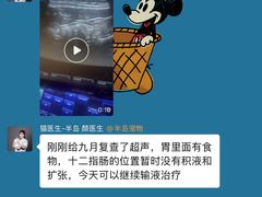 -半岛宠物医院24小时·内窥镜·牙科·碎石中心(府城大道店)