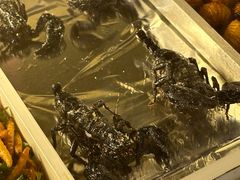 -席娜卡琳火车铁道夜市