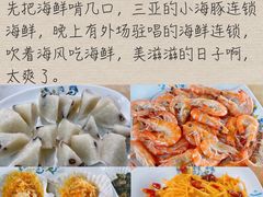 -亚龙湾热带天堂森林公园