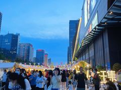 -合景·悠方(成都店)