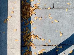 -方腻·3平方柠檬茶