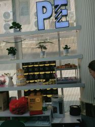 -PE SALON 