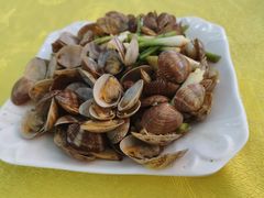 炒花甲-秋姐美食店(旅游大道店)